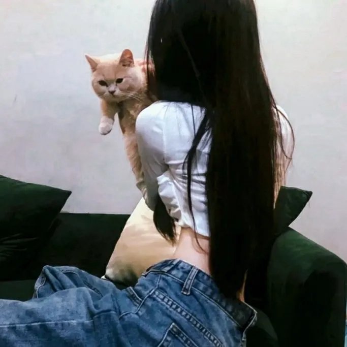 英雄孟良崮