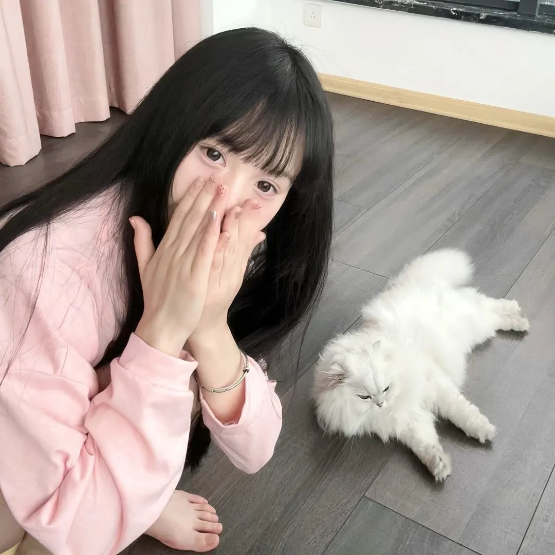 开放日